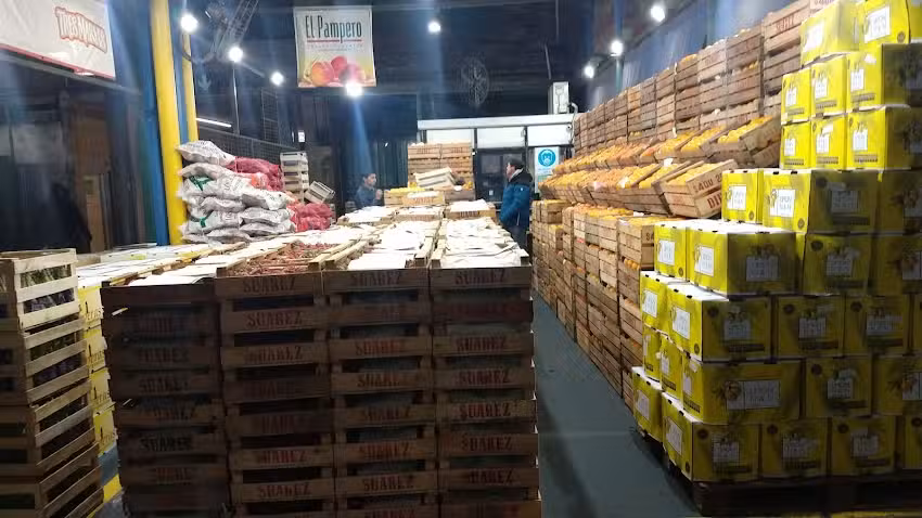 PRODUCTOS DMS &ndash; DIEGO MARCELO SUAREZ