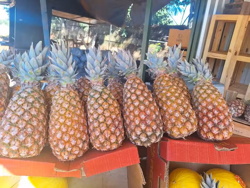 Puesto de Fruta Emanuel 🍍