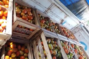 Puesto &ldquo;El Pato &ldquo;