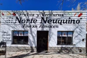 Ra&iacute;ces Patagonicas