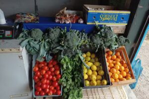 SABORES DE LA PACHAMAMA