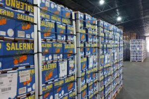 Salerno C&iacute;tricos