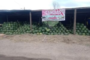 Sand&iacute;a El Correntino