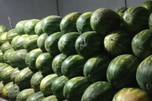 Sand&iacute;as y melones 🍉🍈🍍🍓