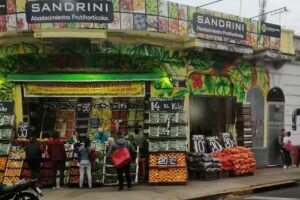 Sandrini Abastecimiento Frutihort&iacute;colas