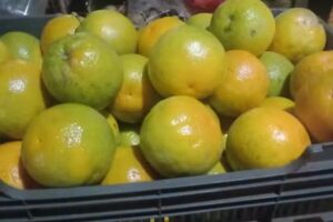 Santa Ines Verduleria Lopez Buen Precio