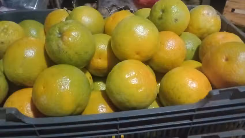 Santa Ines Verduleria Lopez Buen Precio