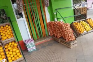 SAVA Frutas y Hortalizas