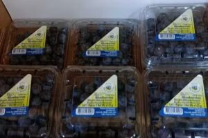 Savia fruter&iacute;a y verduler&iacute;a