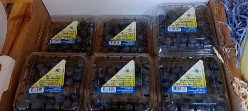 Savia fruter&iacute;a y verduler&iacute;a