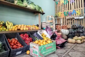 Shalom frutas y verduras