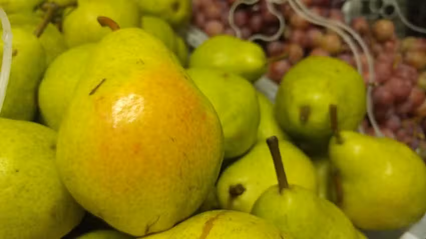 Sil Frutas