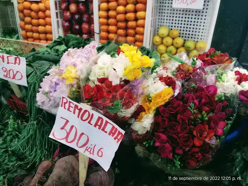 Super Pergola Fiambreria Verduleria