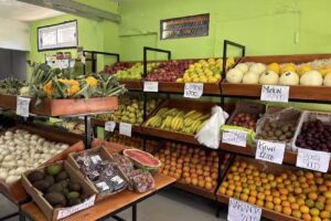 T&Iacute;O ALE VERDULERIA Y FRUTERIA