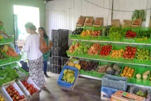 Tutti Frutti Verdulería