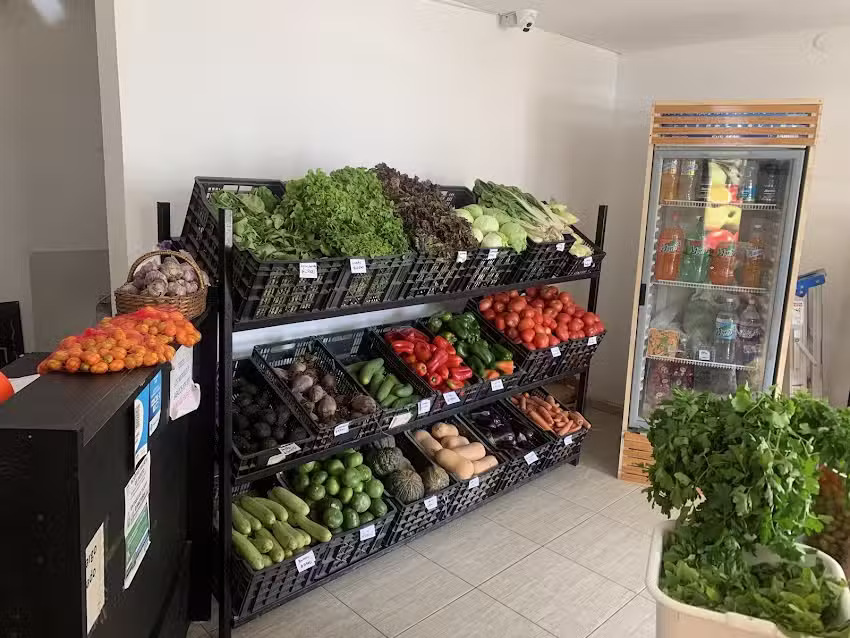 Urtreia 2 &ndash; Mayorista de frutas y verduras