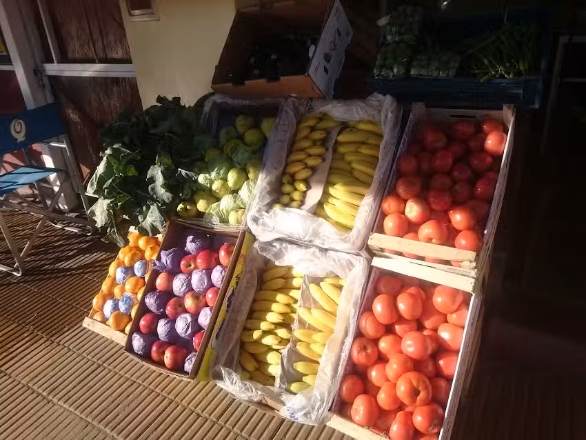 Venta de Frutas y Verduras 1&deg; calidad
