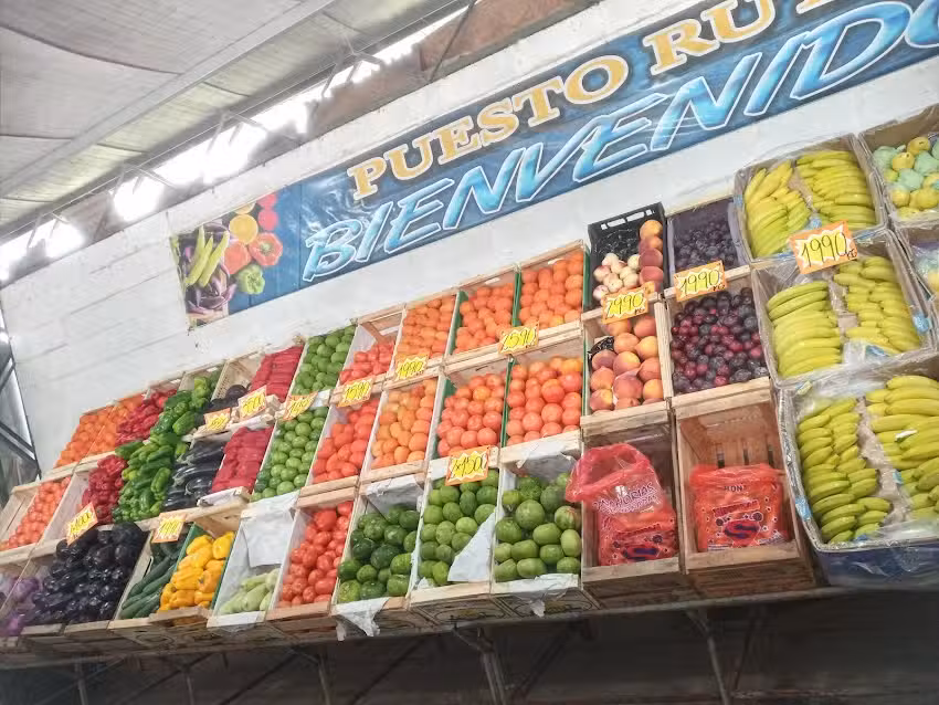 Venta mayorista de frutas y verduras