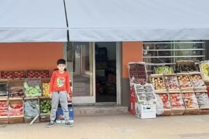 VERDE LIMON Fruter&iacute;a-Verduleria y al go m&aacute;s&hellip;