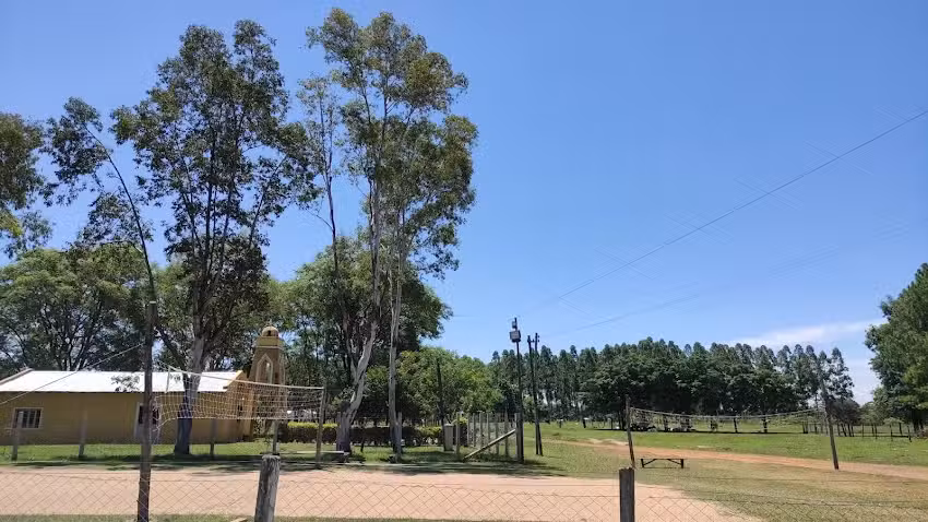 Verdler&iacute;a Mi Amparo