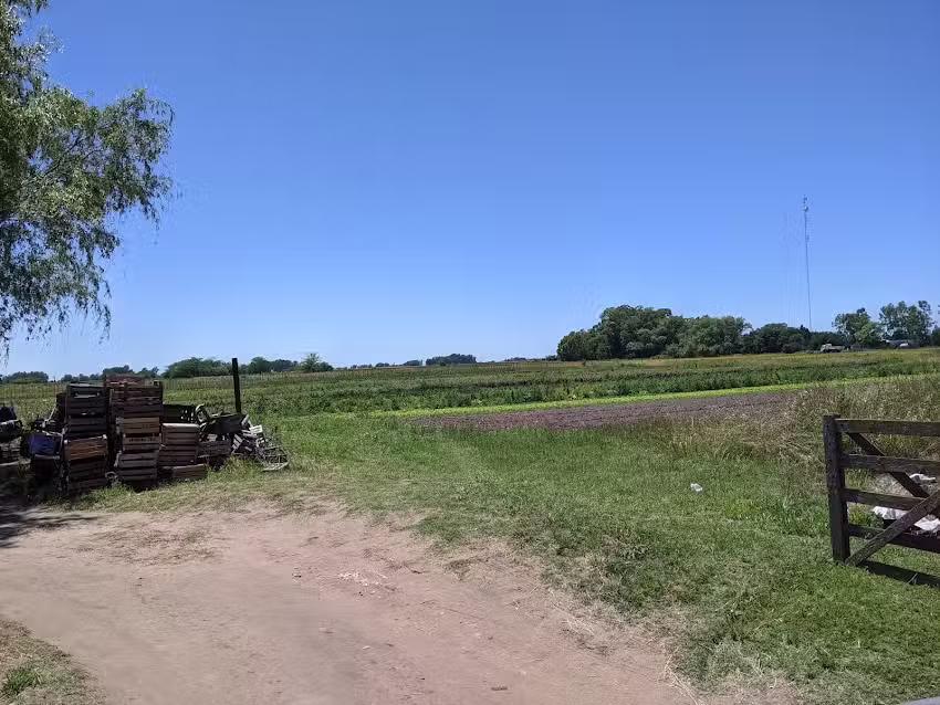 Verduler&iacute;a