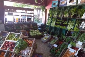 Verduler&iacute;a Abel