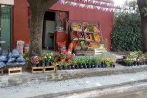 Verduler&iacute;a Ale