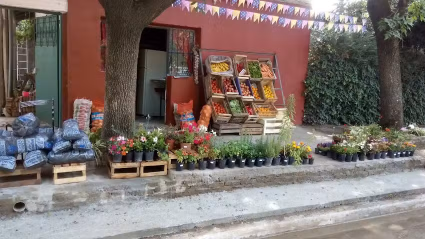 Verduler&iacute;a Ale