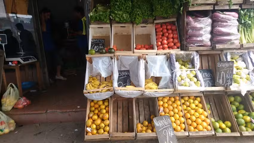 Verduler&iacute;a Alejandro