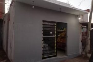 verduleria almacen Cinthia