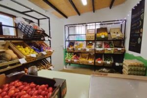 Verduler&iacute;a & Almac&eacute;n: La Huerta Delivery