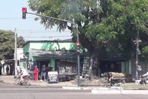 Verduler&iacute;a Amarilla