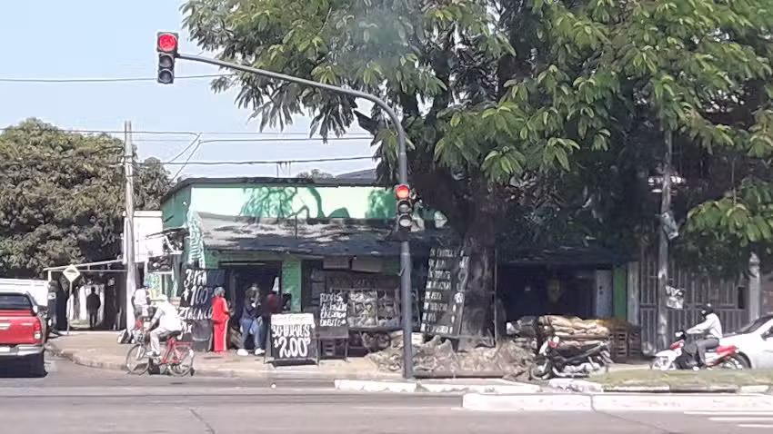 Verduler&iacute;a Amarilla