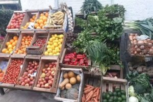 Verduler&iacute;a Anita