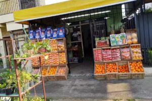 Verduler&iacute;a Anitta