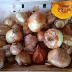 Verduler&iacute;a Avenida