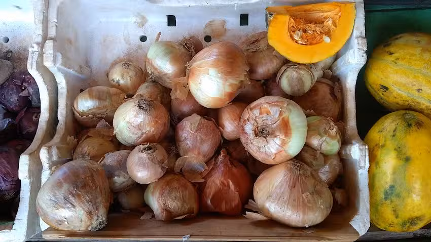 Verduler&iacute;a Avenida