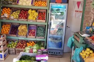 Verduler&iacute;a Barrio Austral