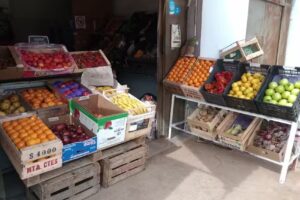 Verduler&iacute;a bauti