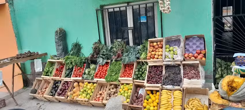 VERDULERIA BEB&Eacute;