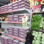 Verduler&iacute;a Boliviana