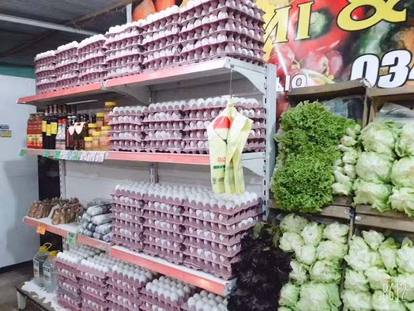 Verduler&iacute;a Boliviana