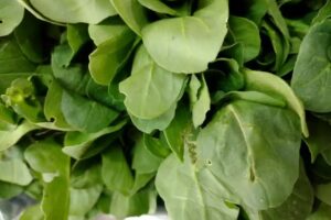 Verduleria Bonito Verde