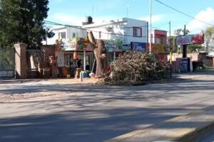 Verduler&iacute;a Boulevard Fruter&iacute;a