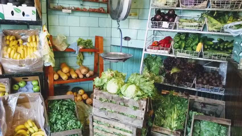 Verduler&iacute;a Carmelo