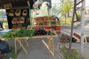 Verduler&iacute;a caty