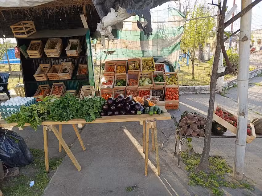 Verduler&iacute;a caty