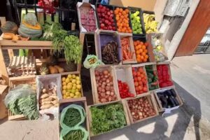 *Verduleria Clementine* ^Calidad Premium^