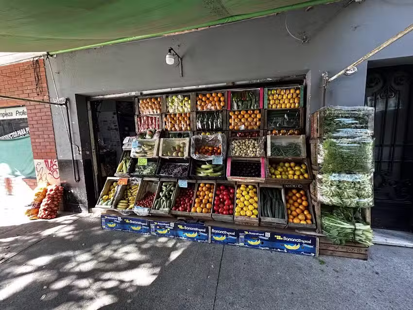 VERDULER&Iacute;A CONI