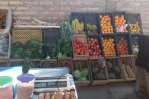 Verduler&iacute;a Costanera